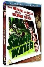 Watch Swamp Water Alluc