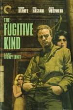 Watch The Fugitive Kind Alluc