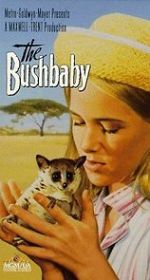 Watch The Bushbaby Alluc