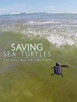 Watch Saving Sea Turtles: Preventing Extinction Alluc
