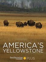 Watch America\'s Yellowstone Alluc
