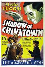 Watch Shadow of Chinatown Alluc