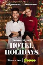 Watch Hotel for the Holidays Alluc