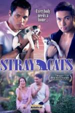 Watch Stray Cats Alluc