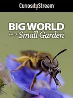 Watch Big World in a Small Garden (TV Short 2016) Alluc