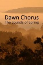 Watch Dawn Chorus: The Sounds of Spring Alluc