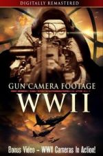 Watch Gun Camera Footage WWII Alluc