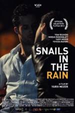 Watch Snails in the Rain Alluc