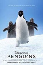 Watch Penguins Alluc