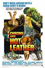 Watch Chrome and Hot Leather Alluc