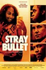 Watch Stray Bullet Alluc