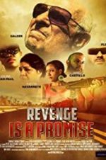 Watch Revenge Is a Promise Alluc