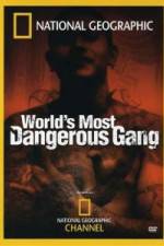 Watch National Geographic World's Most Dangerous Gang Alluc