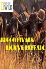Watch National Geographic - Blood Rivals: Lion vs. Buffalo Alluc