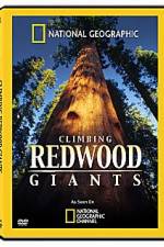 Watch National Geographic Explorer: Climbing Redwood Giants Alluc