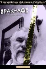 Watch Brakhage Alluc