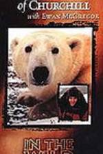 Watch The Polar Bears of Churchill with Ewan McGregor Alluc