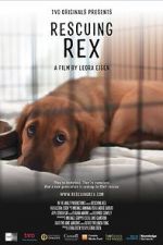 Watch Rescuing Rex Alluc