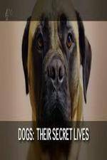 Watch Dogs: Their Secret Lives Alluc