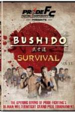 Watch Pride Bushido 11 Alluc