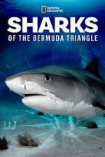 Watch Sharks of the Bermuda Triangle (TV Special 2020) Alluc