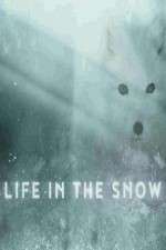 Watch Life in the Snow Alluc