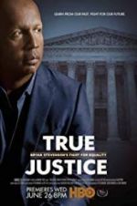 Watch True Justice: Bryan Stevenson\'s Fight for Equality Alluc