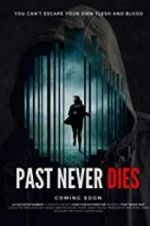 Watch The Past Never Dies Alluc
