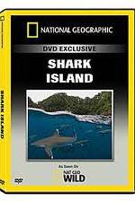 Watch National Geographic: Shark Island Alluc