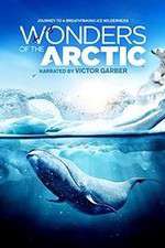 Watch Wonders of the Arctic 3D Alluc