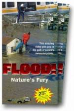 Watch Flood Alluc