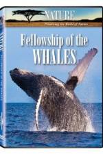 Watch Fellowship Of The Whales Alluc