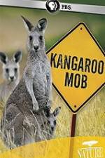 Watch Kangaroo Mob Alluc