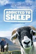 Watch Addicted to Sheep Alluc