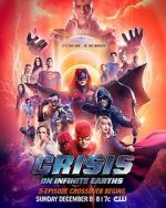 Watch Crisis on Infinite Earths Alluc