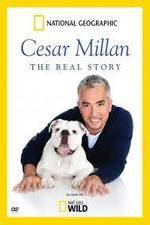 Watch Cesar Millan: The Real Story Alluc