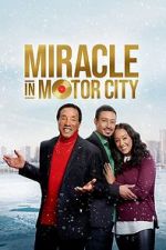Watch Miracle in Motor City Alluc