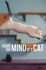 Watch Inside the Mind of a Cat Alluc