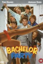 Watch Bachelor Party Alluc