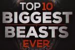 Watch Top 10 Biggest Beasts Ever Alluc