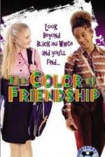 Watch The Color of Friendship Alluc