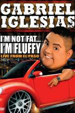 Watch Gabriel Iglesias I'm Not Fat I'm Fluffy Alluc