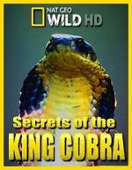 Watch Secrets of the King Cobra Alluc