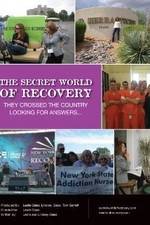Watch The Secret World of Recovery Alluc