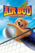 Watch Air Bud: Spikes Back Alluc