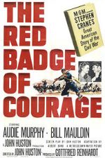 Watch The Red Badge of Courage Alluc