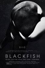 Watch Blackfish Alluc