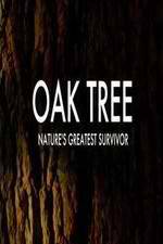 Watch Oak Tree Natures Greatest Survivor Alluc