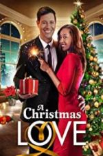 Watch A Christmas Love Alluc