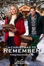 Watch A Christmas to Remember Alluc